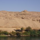 Que tipos de plantas crescem no deserto do Saara?