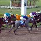 Cómo entrenar un caballo de cuarto de milla para correr