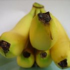 ¿Los plátanos son compatibles con la dieta Paleo?