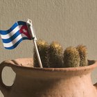 Ideas para fiestas de temática cubana