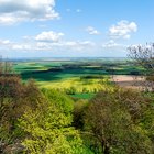 ¿Cuál es la definición de la ecología del paisaje?