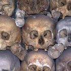 Cómo explicarle el Holocausto a un niño