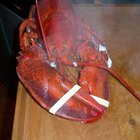 Barbecue Grill cooking seafood.
