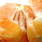 Cómo germinar las semillas de mandarina