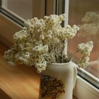 How to Clean Wooden Window Frames