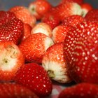 Advantages & disadvantages of cloning plants