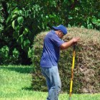 Las herramientas para excavar los hoyos para los postes