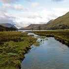 ¿Por qué el agua es tan importante para la vida en la Tierra?