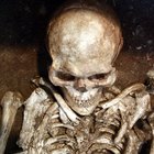 A importância da antropologia na história humana