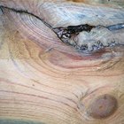Como remover tinta seca de pisos de madeira e rodapés