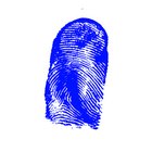 Títulos necesarios para ser un agente especial del FBI