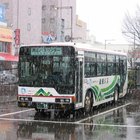 Qual é o tamanho padrão para um ônibus urbano?