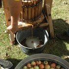 Cómo elaborar vino o sidra de manzana espumosa