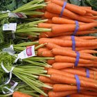 Closed Up Image of Carrots, Green Asparagus and Cucumbers, High Angle View, Differential Focus