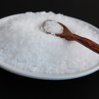 Cómo usar sal para matar las pulgas