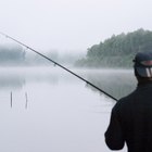 Consejos para la pesca de salmón desde la costa