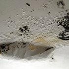 Cómo quitar las manchas de agua de las paredes