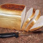 Woman making bagels, kneading dough, close up