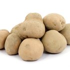 Julienne Potatoes