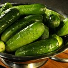 Pickled gherkins in jar, fermented food