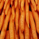 ¿Son las zanahorias una fuente de fibra?