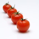 Cantidad de PH necesario para cultivar tomates