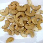 List of Importers of Cashew Nuts