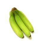 Usos para caules da bananeira