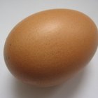 Como proteger um ovo de uma queda