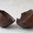 Como fazer carvão com cascas de coco