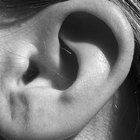 Parasitas que causam dor no ouvido humano