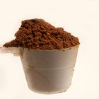 ¿Por cuánto tiempo se mantiene fresco el polvo de cacao?