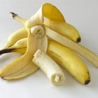 Cómo usar plátanos como fertilizante