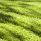 How do I Change the Mower Deck Belt on Rally Lawn Tractors?