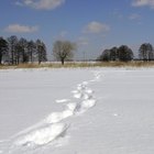 Las mejores botas para nieve en Alaska