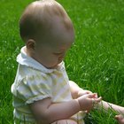 Actividades para el desarrollo cerebral de un bebé de 8 meses
