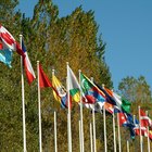 ¿Qué carreras pueden ser consideradas para relaciones internacionales?