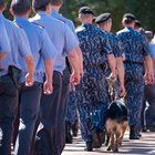 Historia de la primera unidad de perros policía K9
