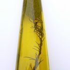 ¿Cuál es el mejor aceite de oliva para freír?