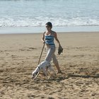 Playas para perros en San Diego