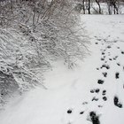 Actividades sobre las ropas de invierno para los niños de preescolar