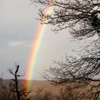 Información sobre el Rainbow Rainmate