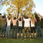 ¿Cómo mejorar el desarrollo social de un adolescente?