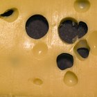 Cutting pecorino cheese