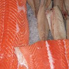¿Cuánto tiempo puedes mantener el pescado fresco en el refrigerador antes de comerlo?