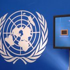 Cómo citar la declaración de las Naciones Unidas 