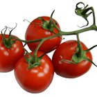 Slow Roasted Tomatoes