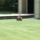 Tratamento para fungo de gramado