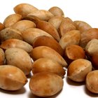 Hazelnuts on square bowl on wood