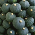 old wagon piled with squash for sale in the fall